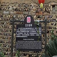 tmp_fe1204e6b28cc158e1d0cea44260dca2.jpg